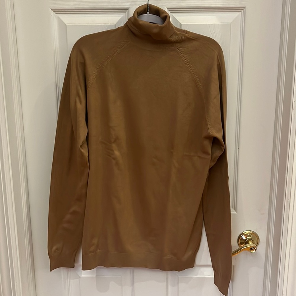 Earth tone Zara turtle neck